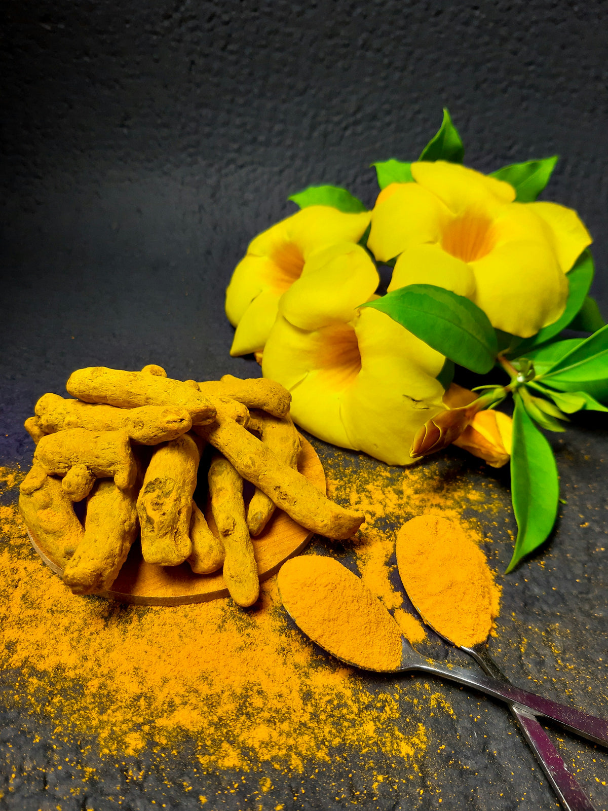 Curcuma