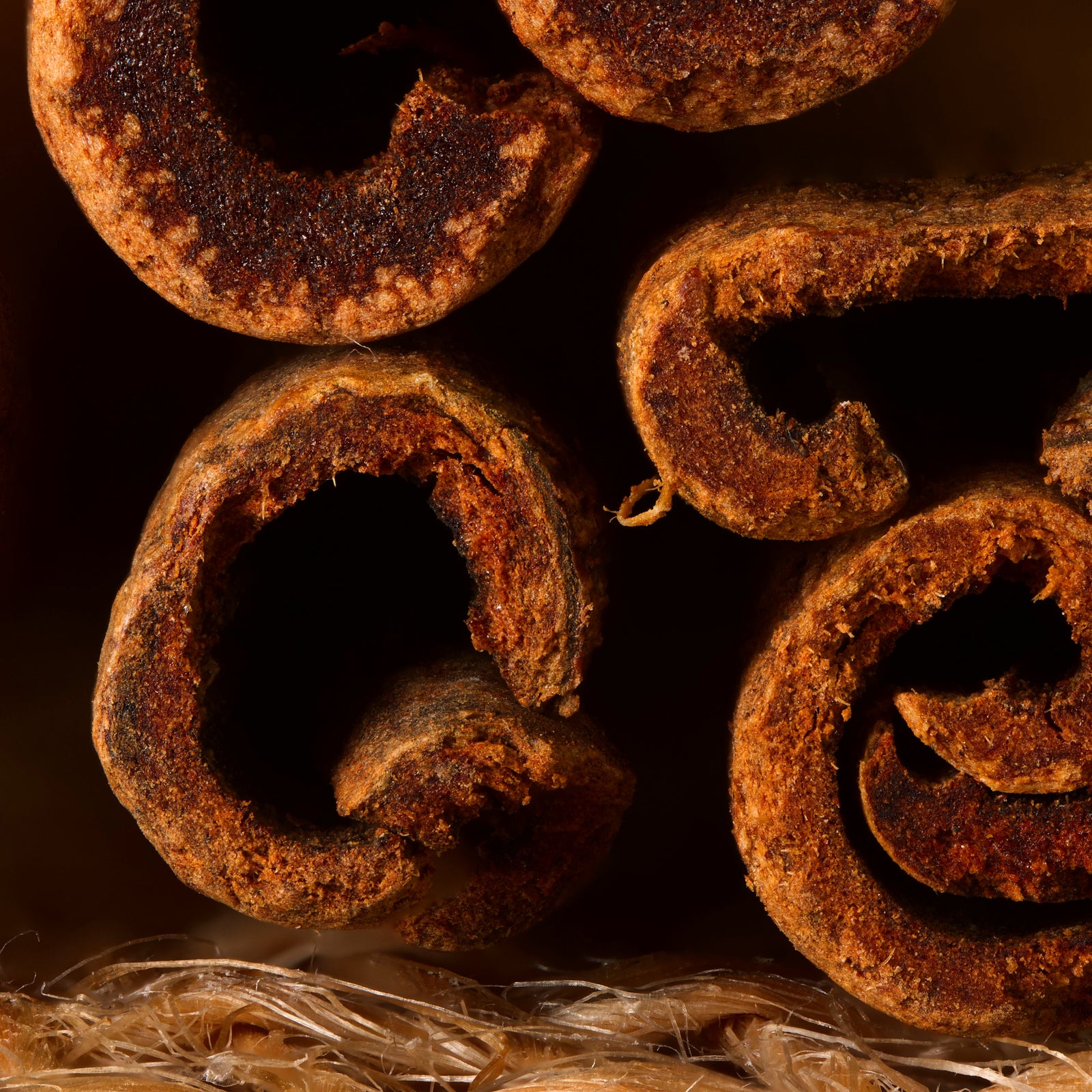 Cannelle de Madagascar, gros plan sur la matière