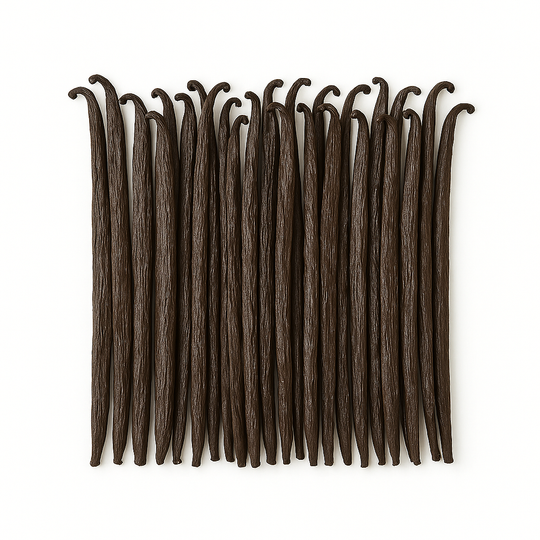 Bourbon Vanilla from Madagascar – 10 to 20 pods (Standard) 