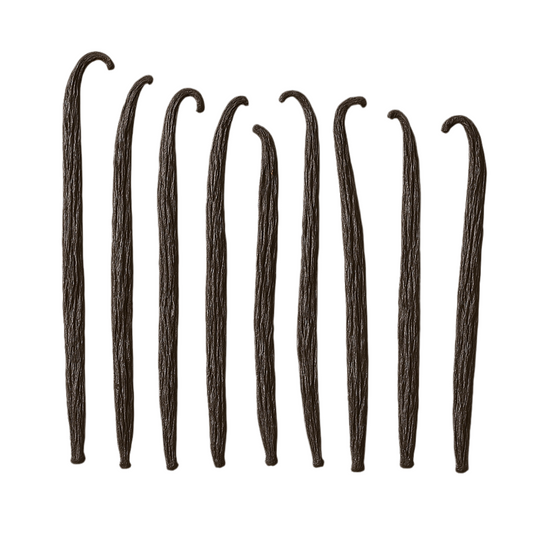 Bourbon Vanilla from Madagascar – choice of sizes S/M/L/XL (10 pods) 