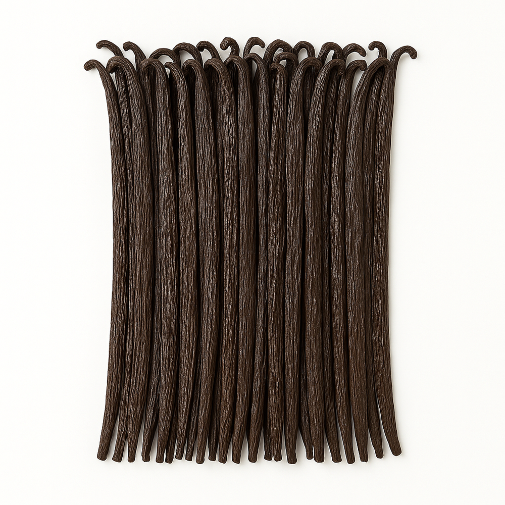 Bourbon Vanilla from Madagascar – 30 to 100 pods (Eco/Pro) 