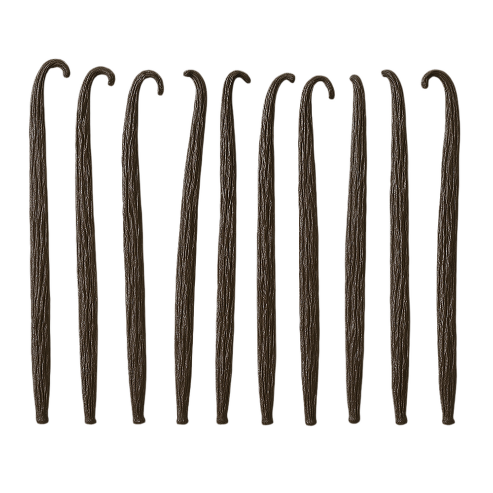 Bourbon Vanilla from Madagascar – choice of sizes S/M/L/XL (10 pods) 