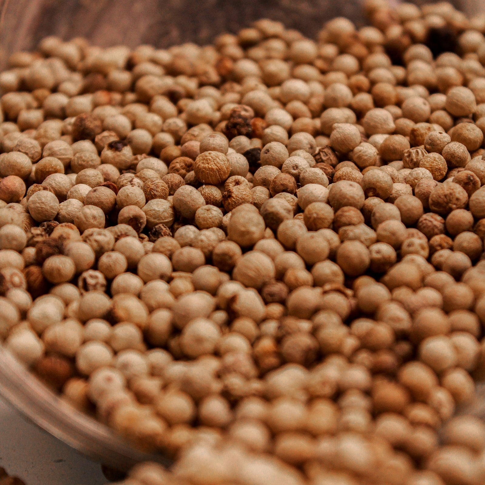 Grains de poivre blanc de Madagascar en vrac