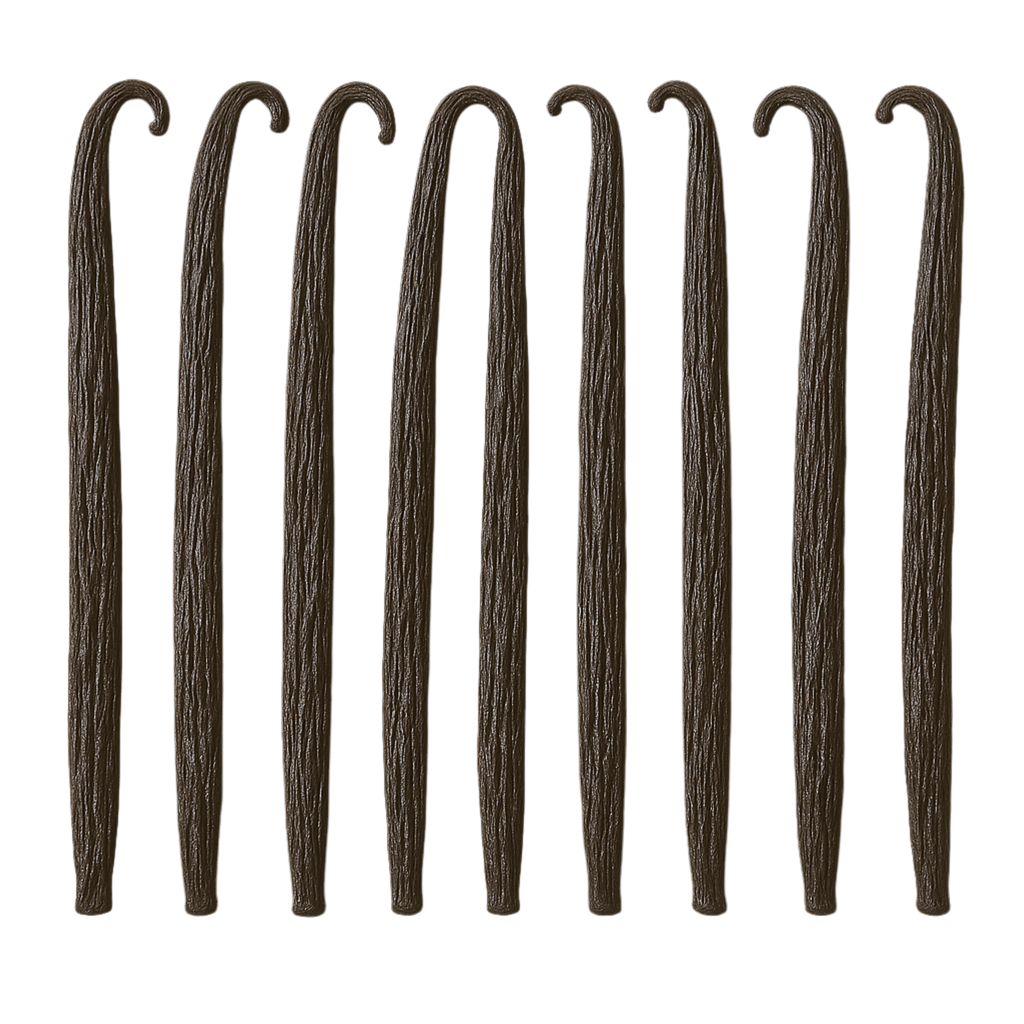 Bourbon Vanilla from Madagascar – choice of sizes S/M/L/XL (10 pods) 