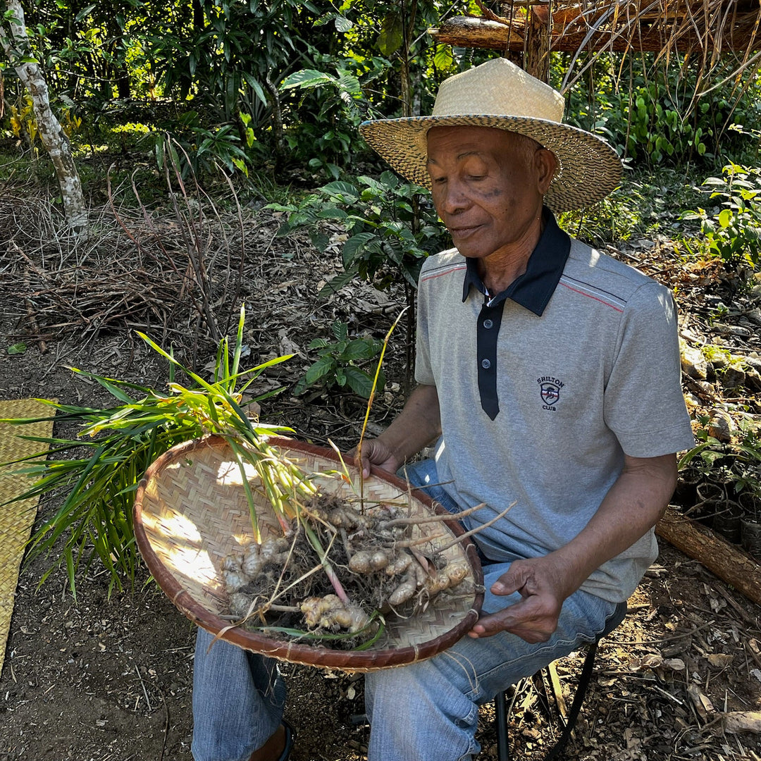 Gingembre de Madagascar (pot à épices 40g)