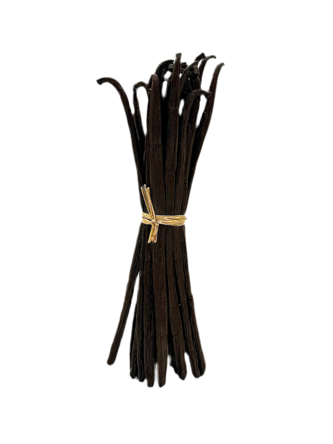 Botte de gousses de vanille liées par une ficelle sur fond transparent