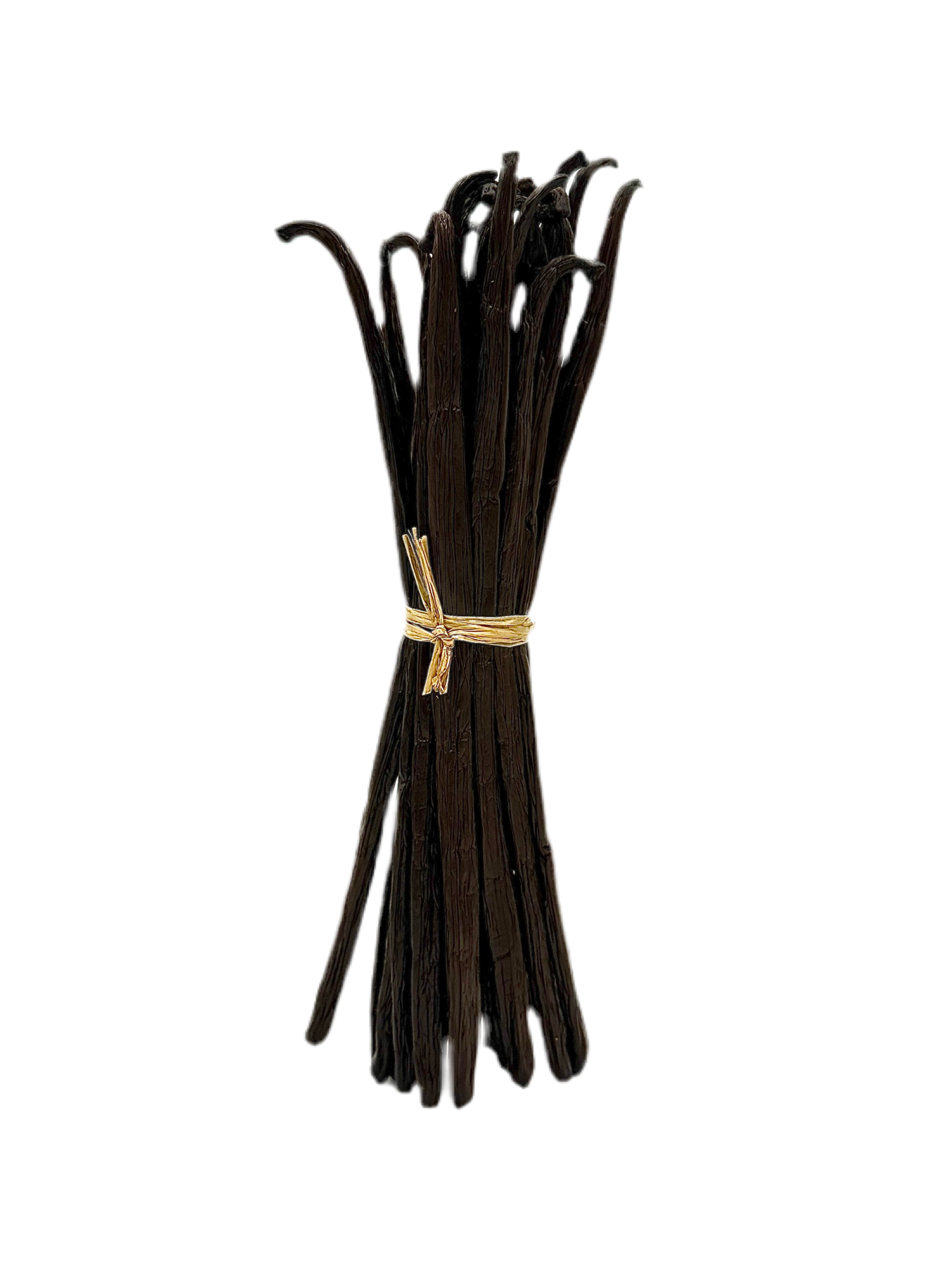 Botte de gousses de vanille liées par une ficelle sur fond transparent