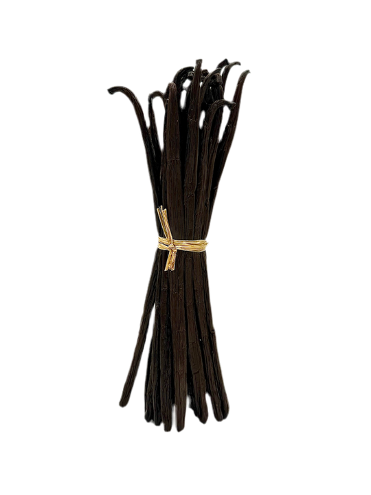 Botte de gousses de vanille liées par une ficelle sur fond transparent