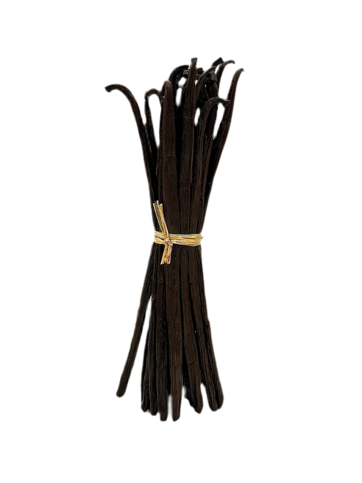 Botte de gousses de vanille liées par une ficelle sur fond transparent