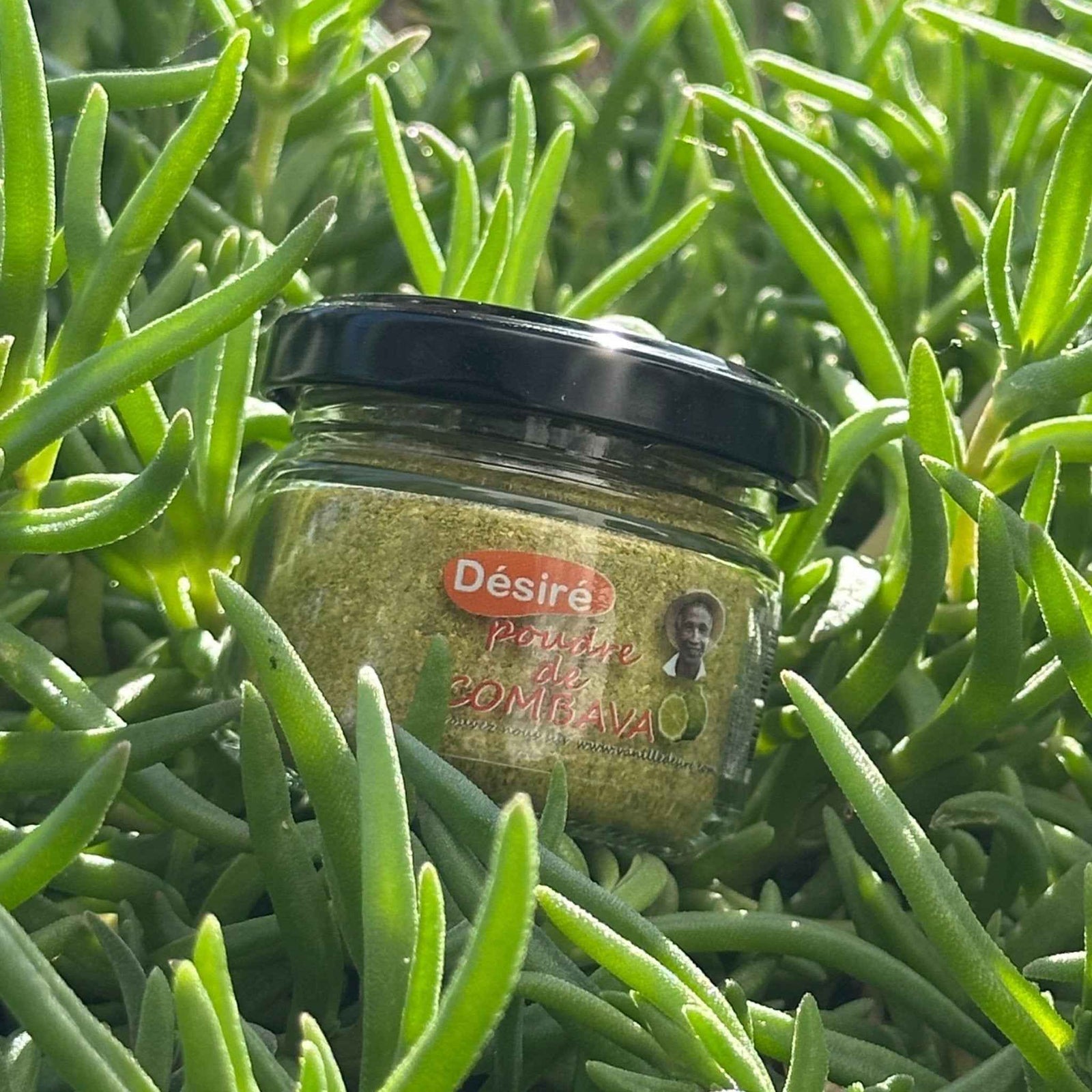 Combava sauvage en poudre (20g) - Vanille Désiré (4/4)