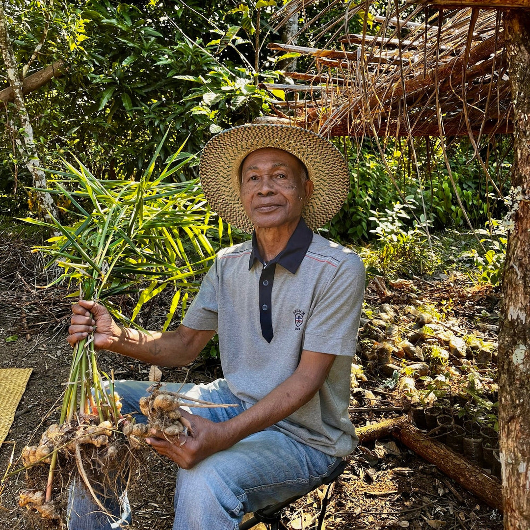 Gingembre de Madagascar (pot à épices 40g) - vanilledesire