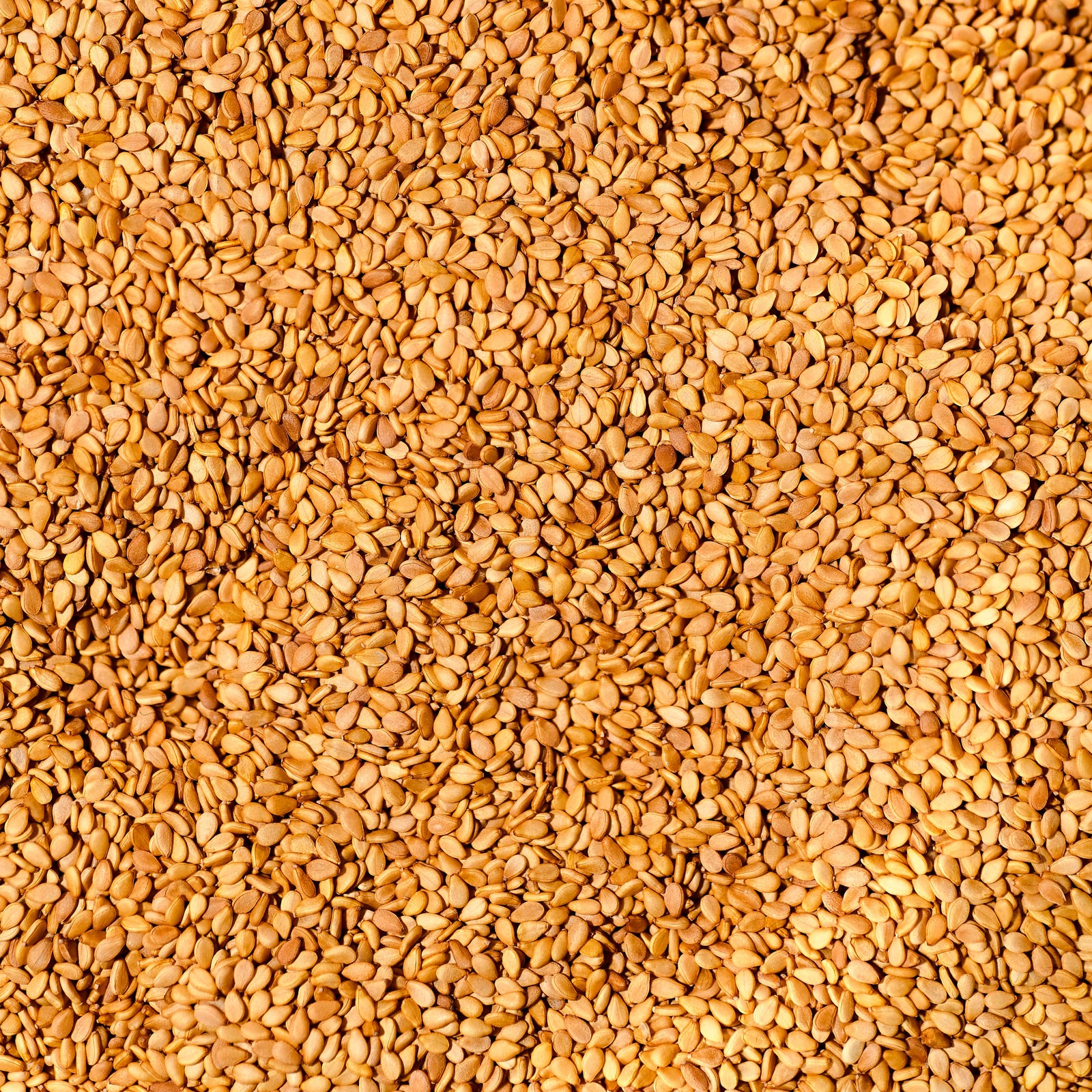 Graines de sésame de Madagascar, gros plan sur la matière