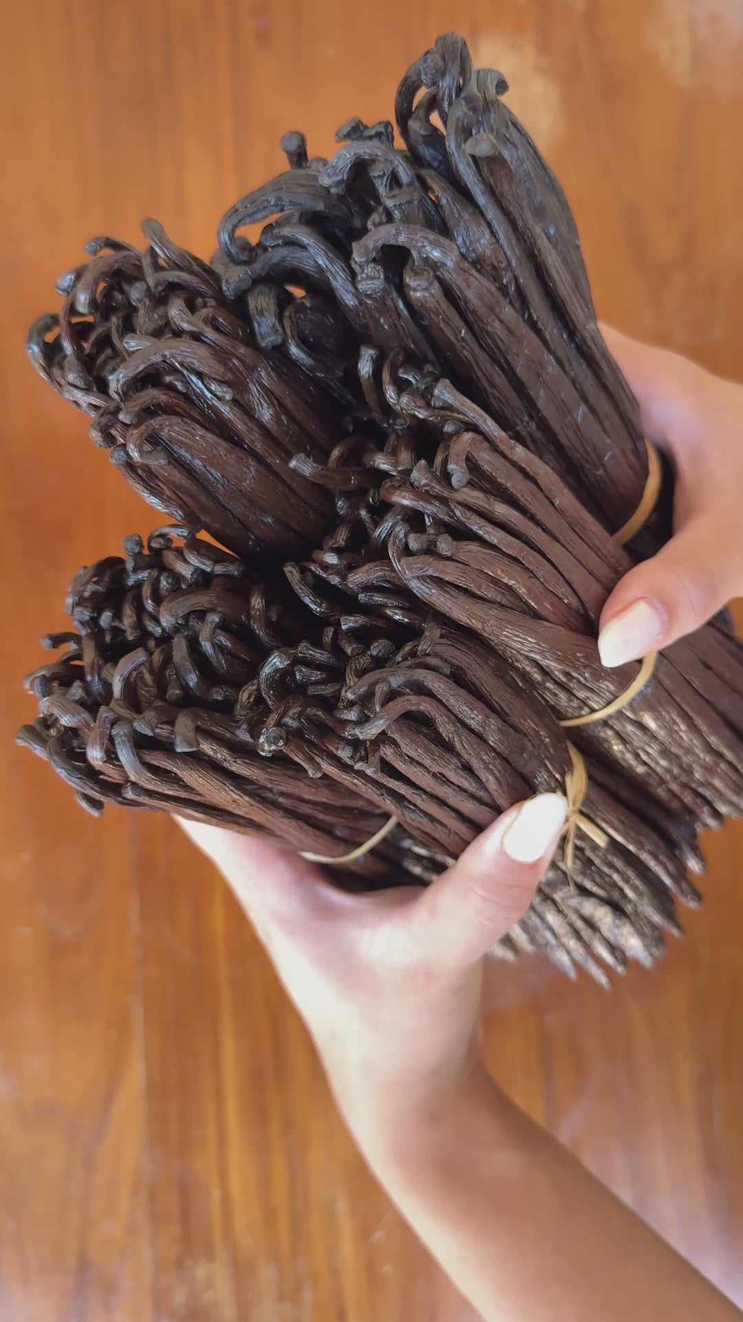 Wholesale Bourbon Vanilla from Madagascar