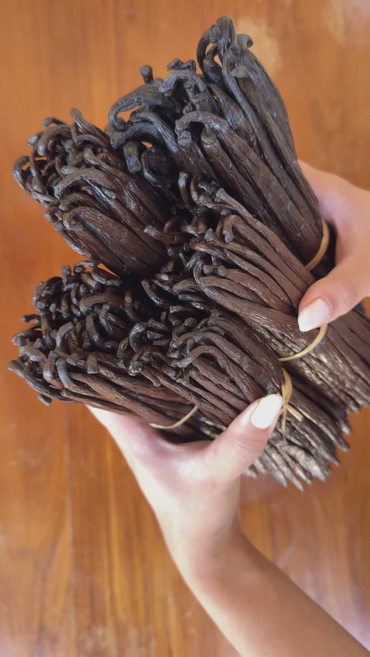 Wholesale Bourbon Vanilla from Madagascar