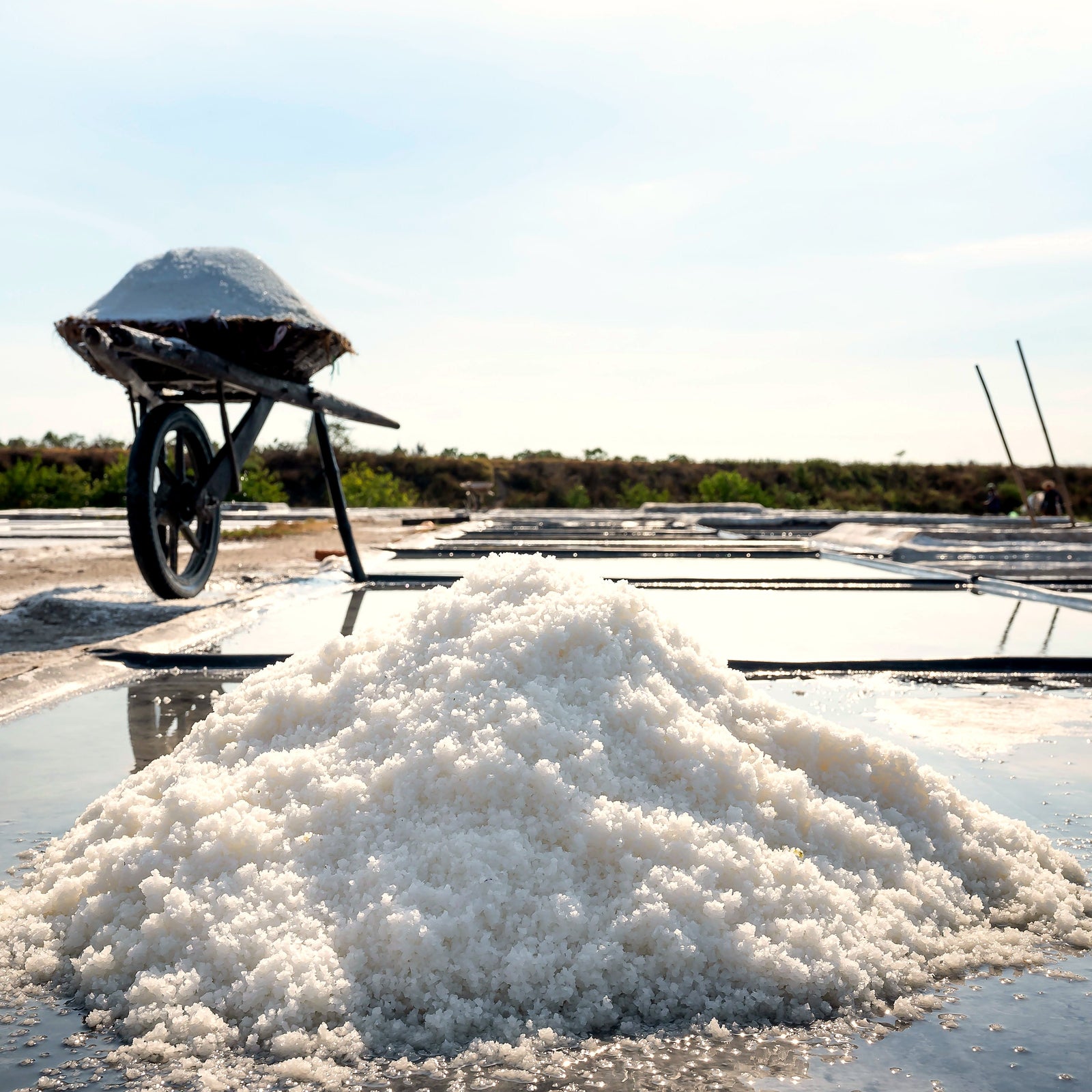 Sel de Camargue aux baies roses de Madagascar, en cuisine