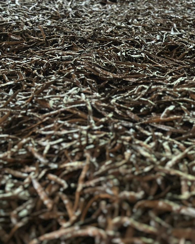 Cuts de vanille Bourbon de Madagascar : morceaux et gousses brisées, tailles mélangées