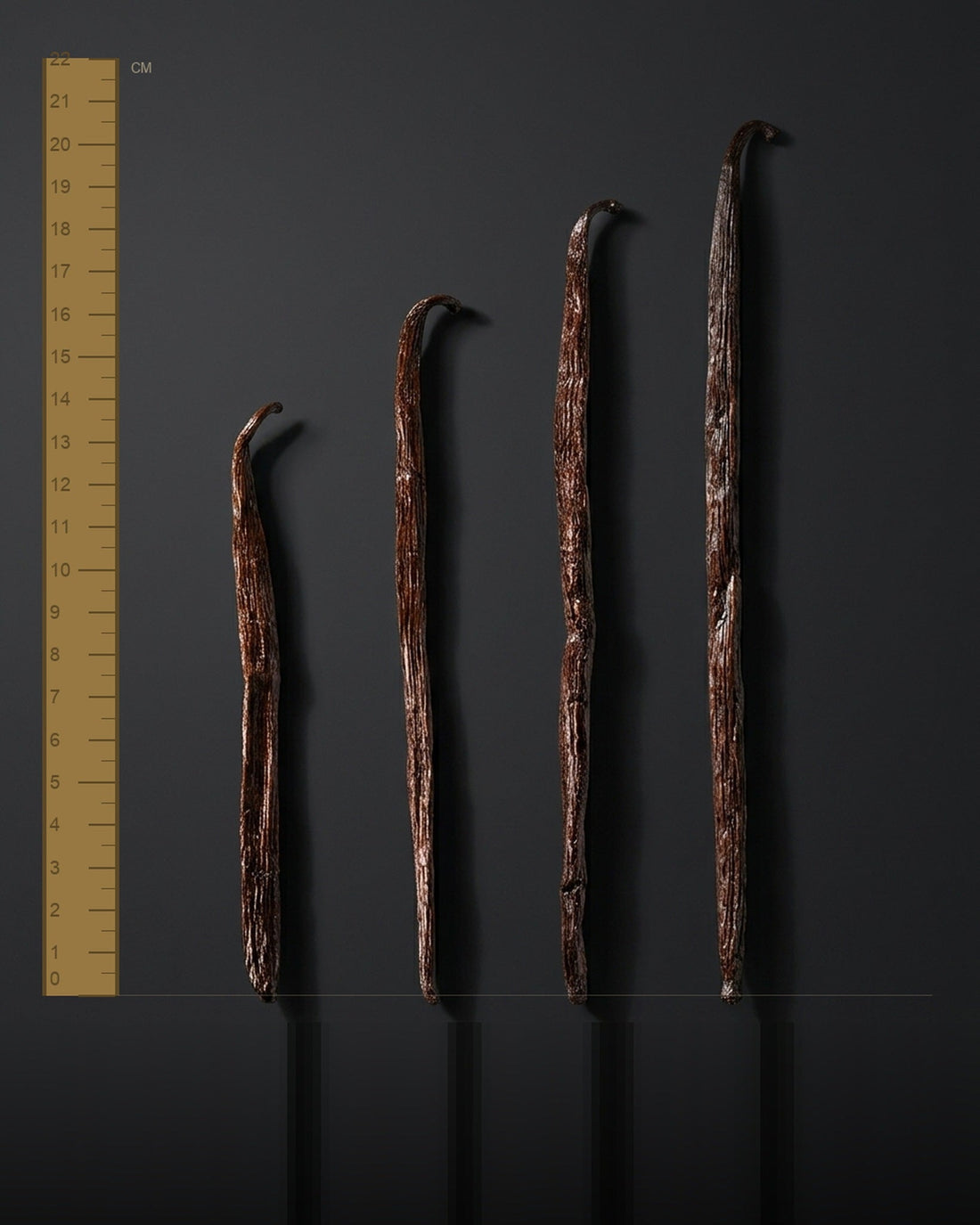 Quatre gousses de vanille de calibres S, M, L et XL alignées le long d’une règle graduée en centimètres