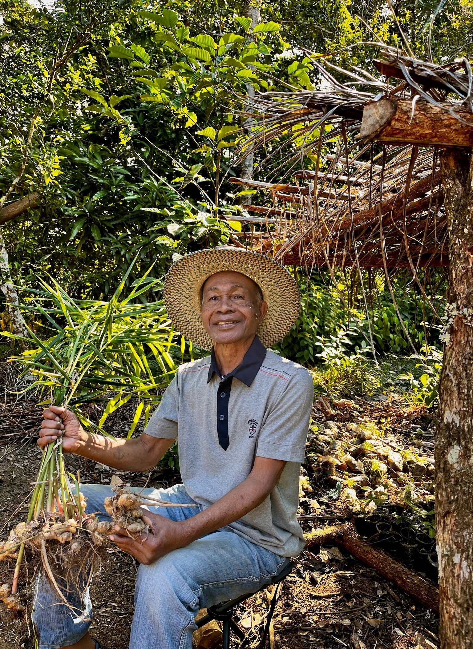 Désiré souriant, avec sa récolte de gingembre