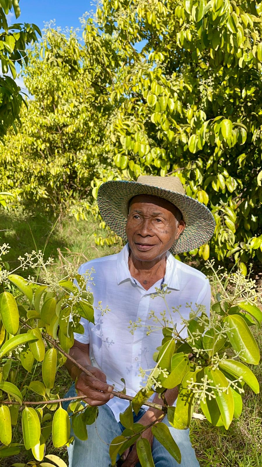 Désiré, chemise blanche, sous un arbre en fleurs