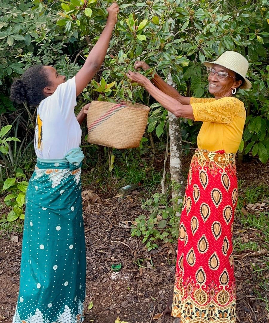 Aux côtés de Mamy Stephany, dans les cultures
