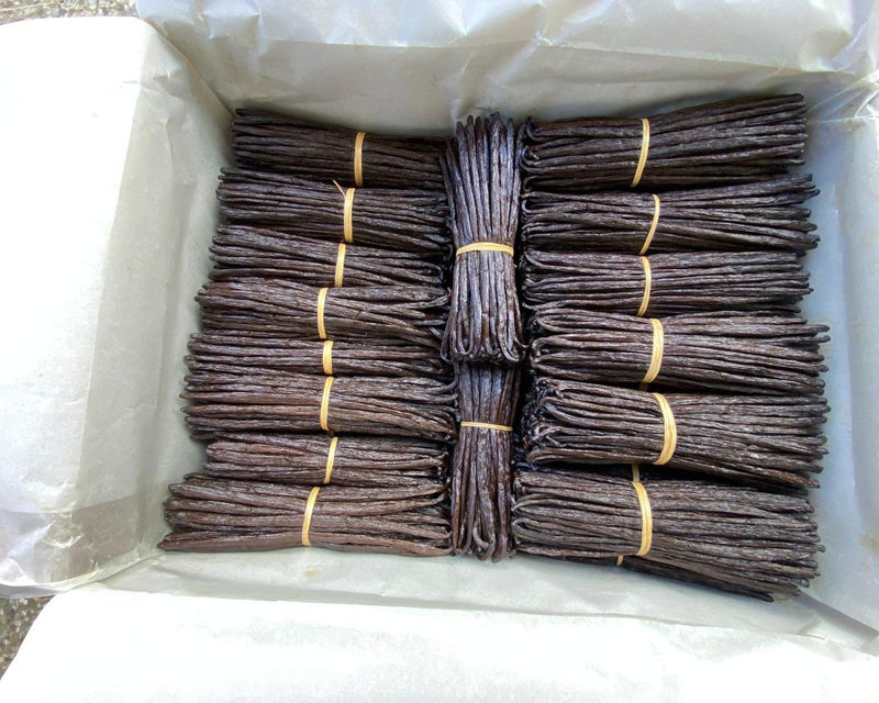 Bottes de vanille rangées côte à côte dans une malle doublée de papier