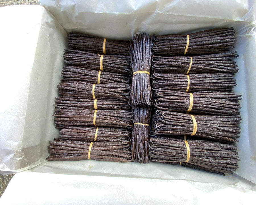 Bottes de vanille rangées côte à côte dans une malle doublée de papier