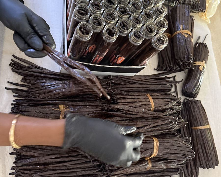 Mains gantées remplissant des tubes de verre de gousses de vanille