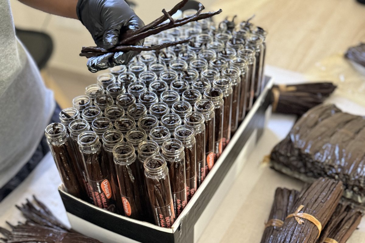 Main gantée remplissant les tubes de vanille Désiré